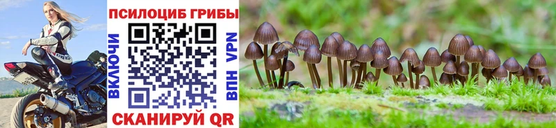 мега ТОР Островной Галлюциногенные грибы MAGIC MUSHROOMS